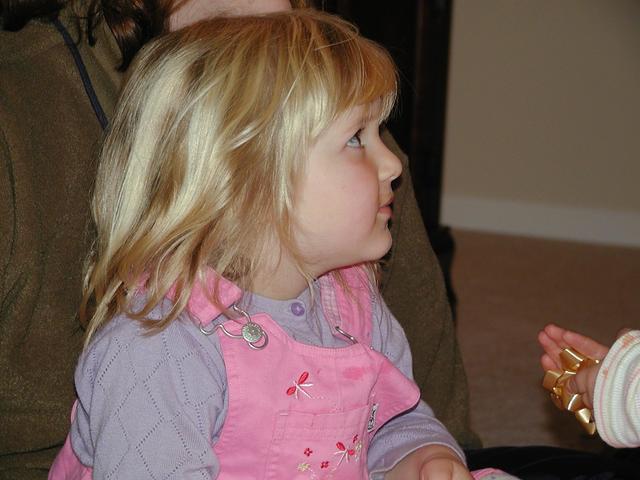 camera/2002/12(December)/12_22_Maddox_Early_Christmas/640x480_PC220012.JPG