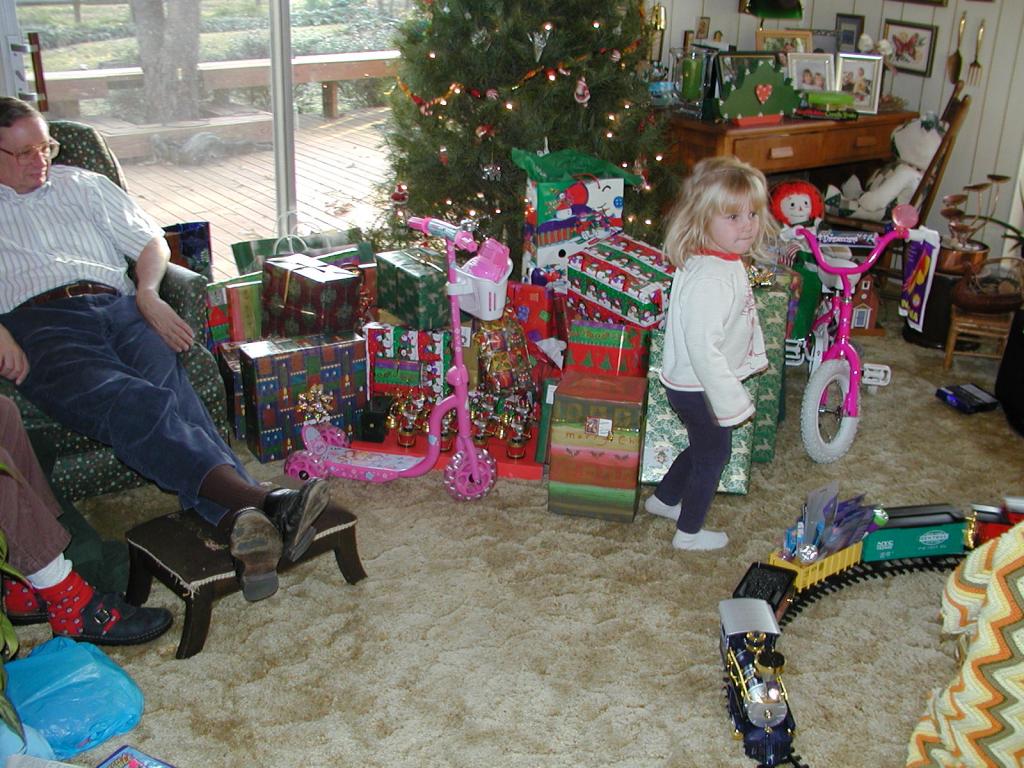 camera/2002/12(December)/12_25_Christmas_at_Grandmom's/1024x768_PC250052.JPG