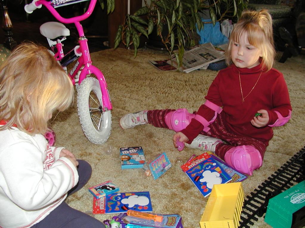 camera/2002/12(December)/12_25_Christmas_at_Grandmom's/1024x768_PC250068.JPG