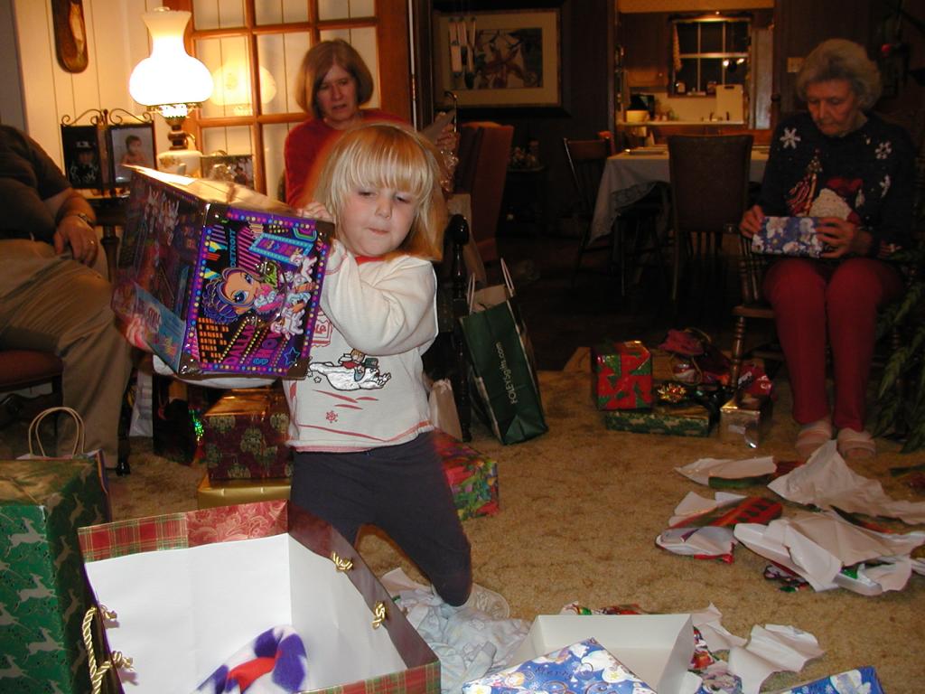 camera/2002/12(December)/12_25_Christmas_at_Grandmom's/1024x768_PC250121.JPG