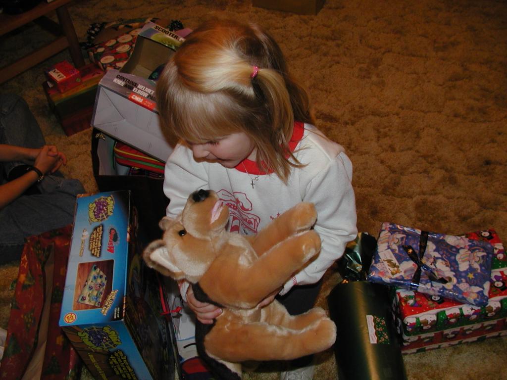 camera/2002/12(December)/12_25_Christmas_at_Grandmom's/1024x768_PC250138.JPG