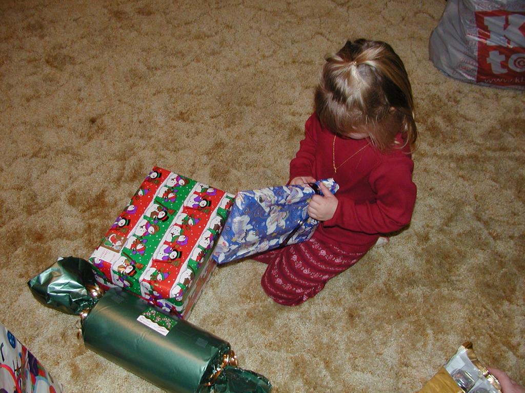 camera/2002/12(December)/12_25_Christmas_at_Grandmom's/1024x768_PC250141.JPG
