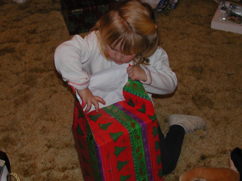 camera/2002/12(December)/12_25_Christmas_at_Grandmom's/1024x768_PC250145.JPG