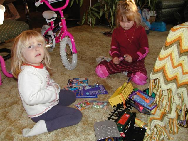 camera/2002/12(December)/12_25_Christmas_at_Grandmom's/640x480_PC250067.JPG