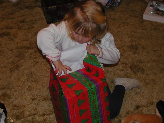 camera/2002/12(December)/12_25_Christmas_at_Grandmom's/640x480_PC250145.JPG