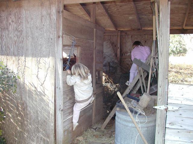 camera/2002/12(December)/12_27_Feeding_Time/640x480_PC270008.JPG