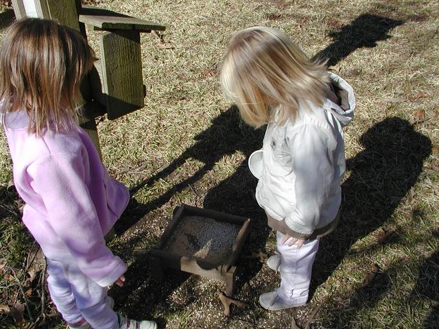 camera/2002/12(December)/12_27_Feeding_Time/640x480_PC270013.JPG