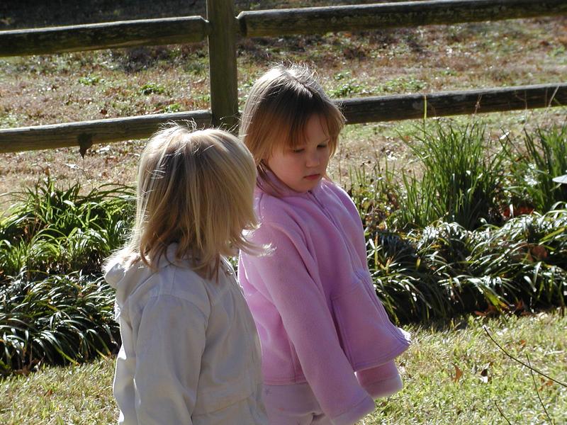 camera/2002/12(December)/12_27_Feeding_Time/800x600_PC270012.JPG