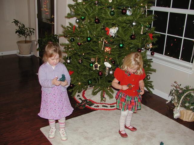 camera/2002/12(December)/Advent_Calendars/640x480_PC010047.JPG