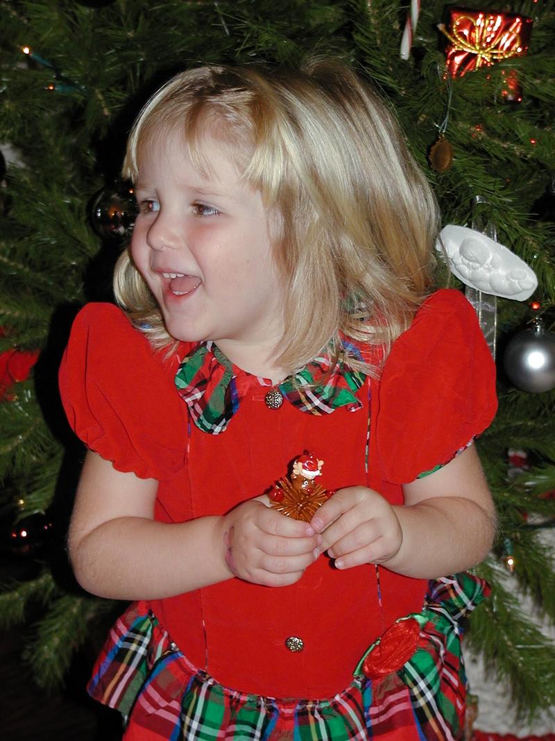 camera/2002/12(December)/Advent_Calendars/800x600_PC010050.JPG