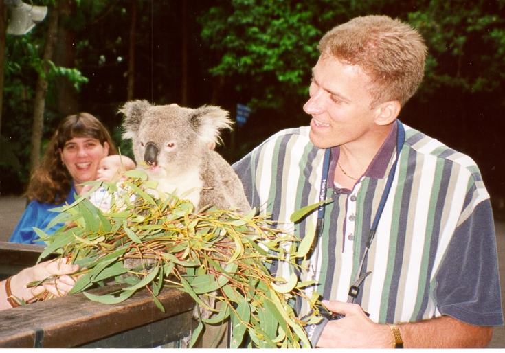 KOALAT.JPG
