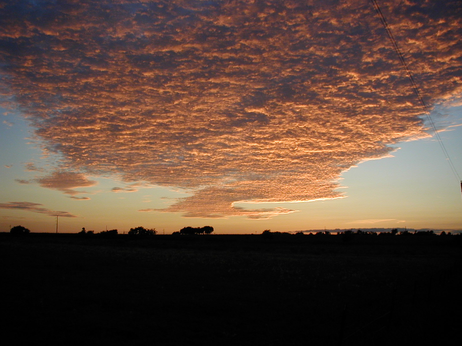 P9010064.JPG