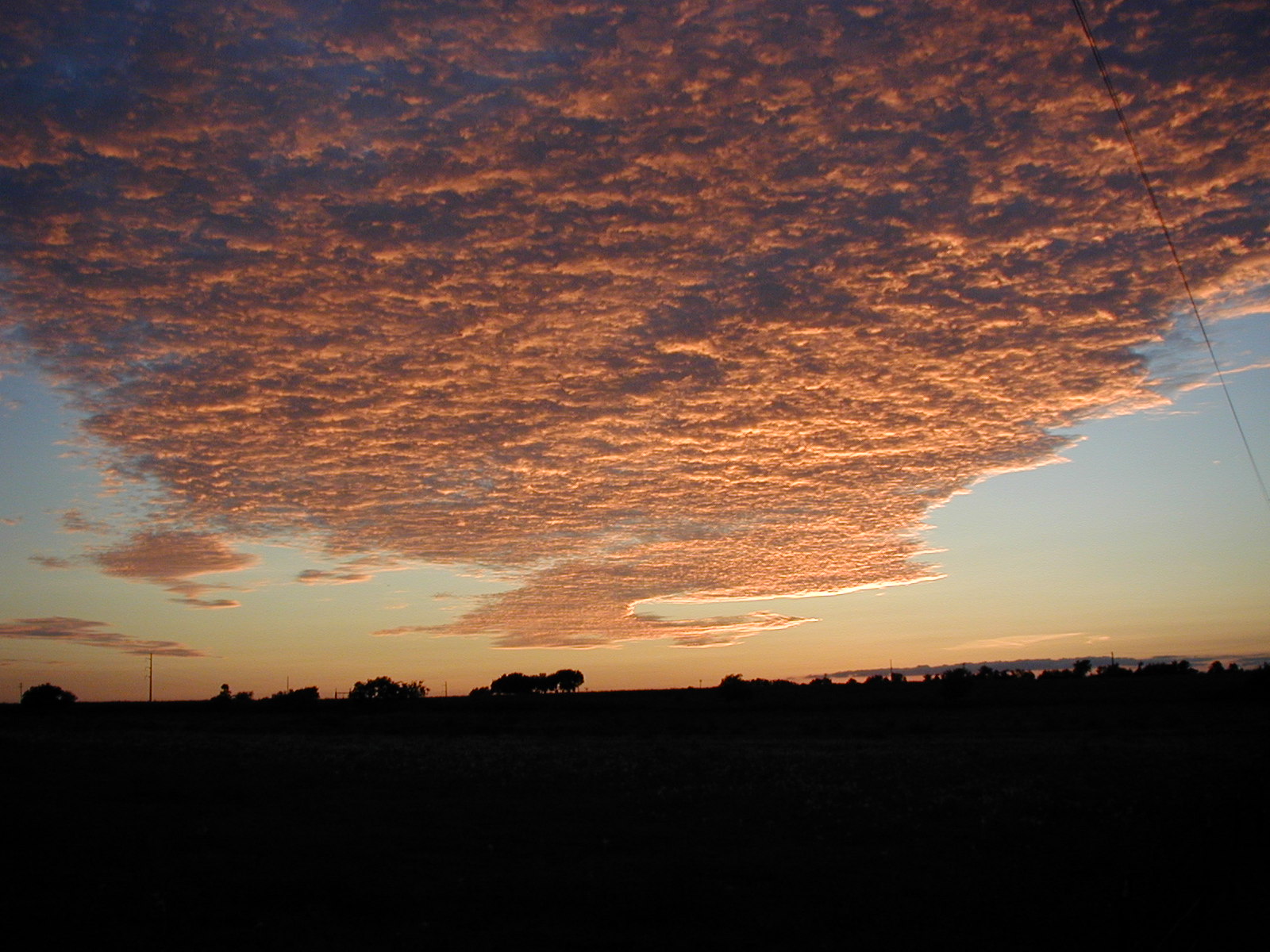 P9010067.JPG