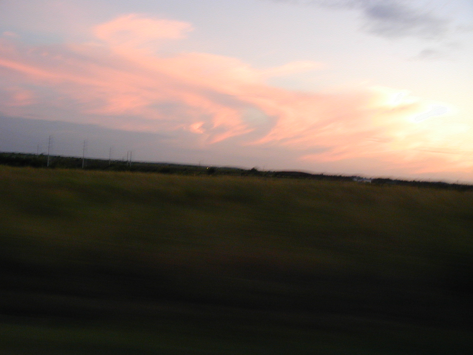 P9010078.JPG