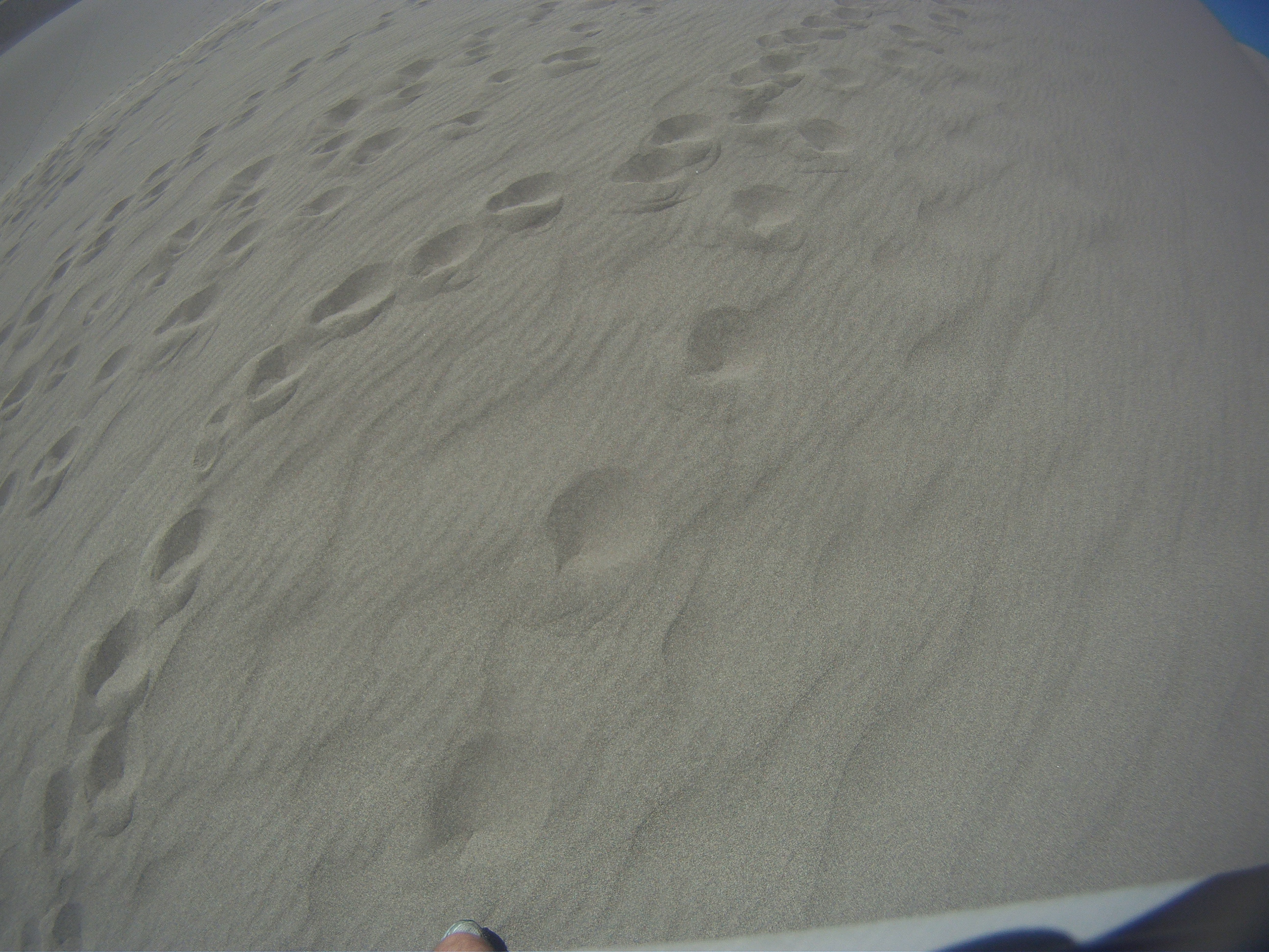 GOPR9523.JPG