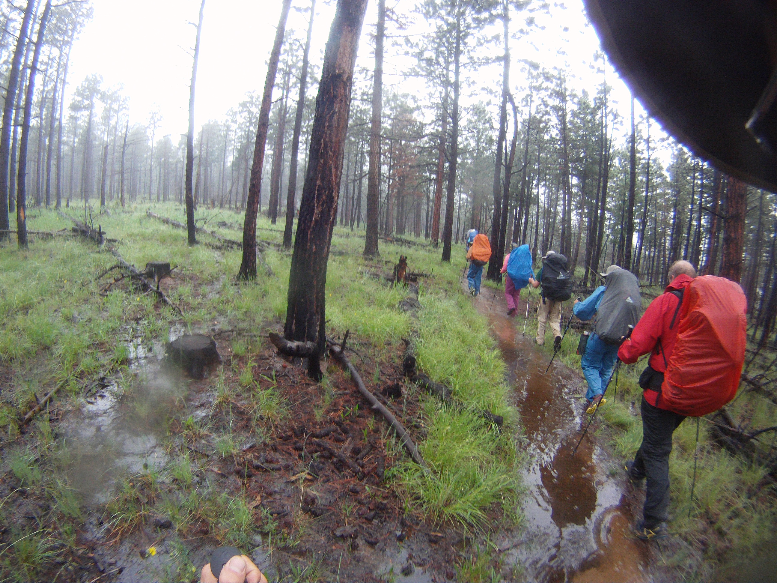 2015-07-07-Philmont-5star-003-Landscape-Dax-Rhys-Will-Becky-Ron.jpg