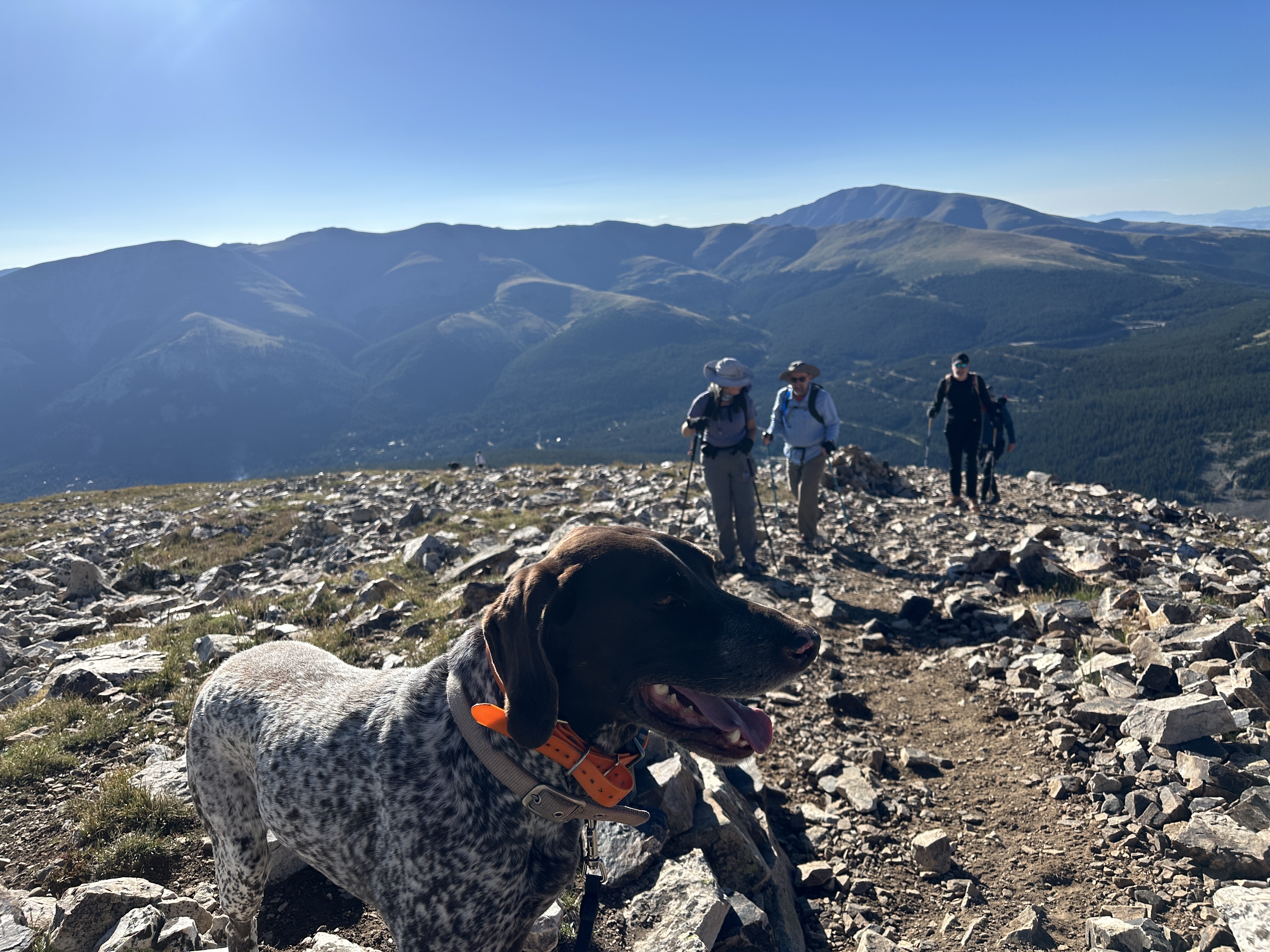 2023-08-19-Quandary-Peak-04-Blaze-Suzi-Ren.JPG
