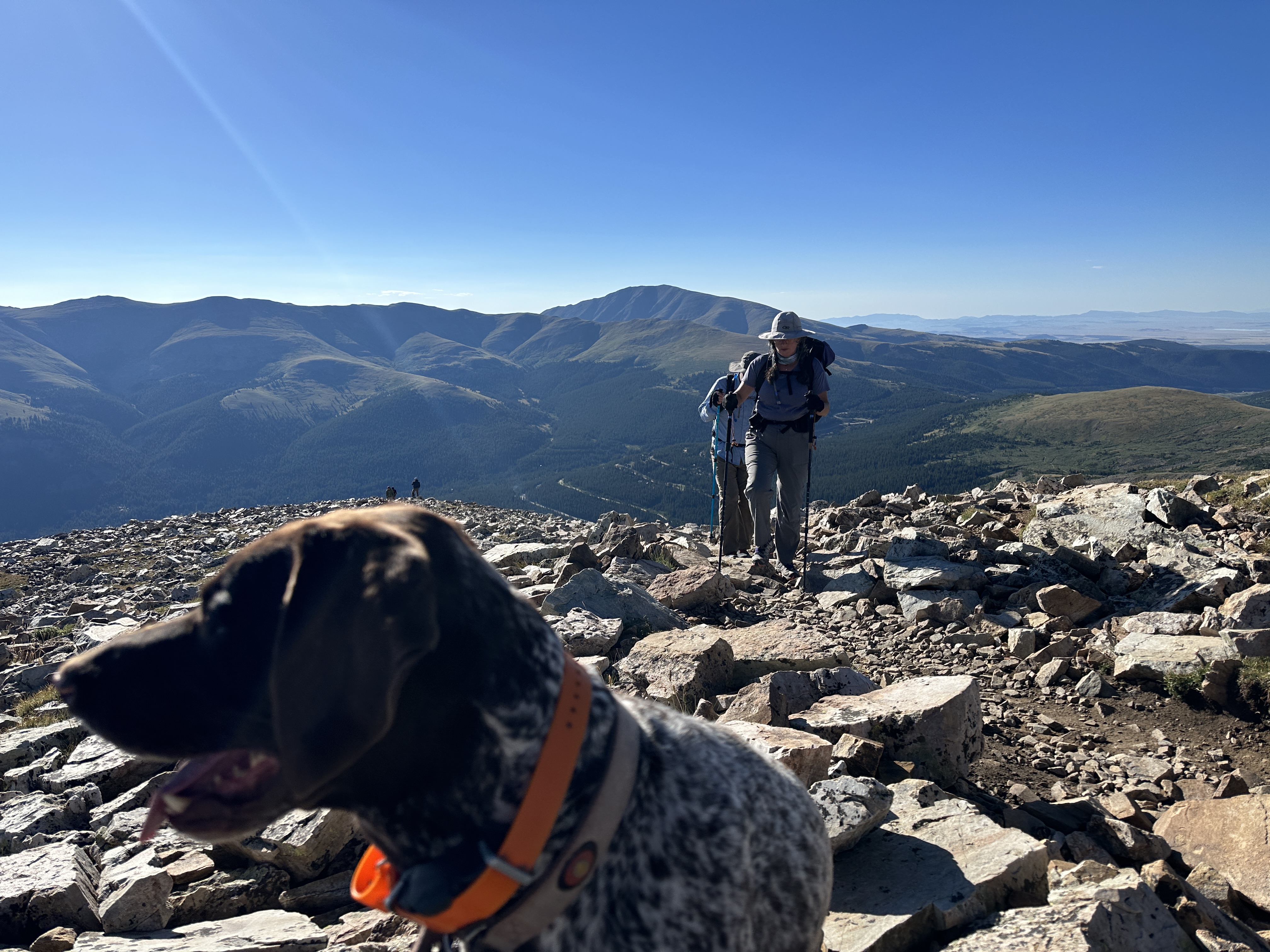 2023-08-19-Quandary-Peak-06-Blaze-Suzi-Ren.JPG