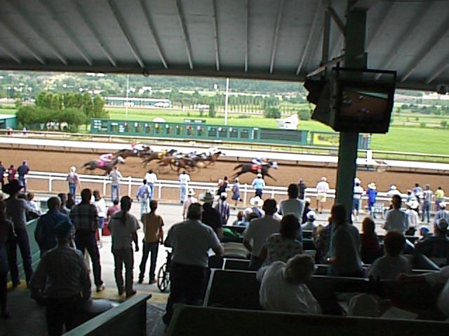 race-horse1.jpg