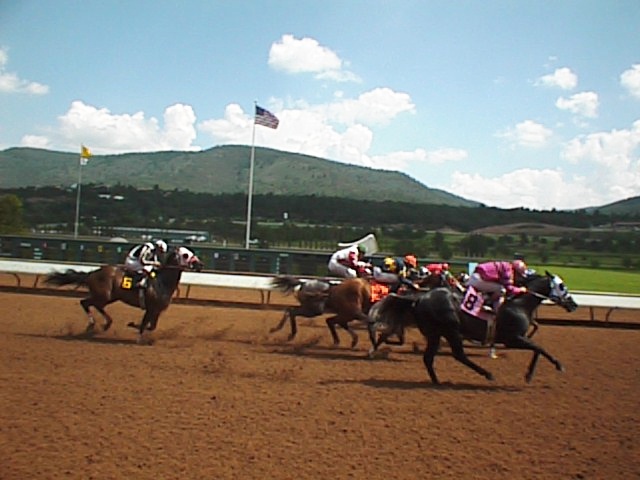 race-horse3.jpg