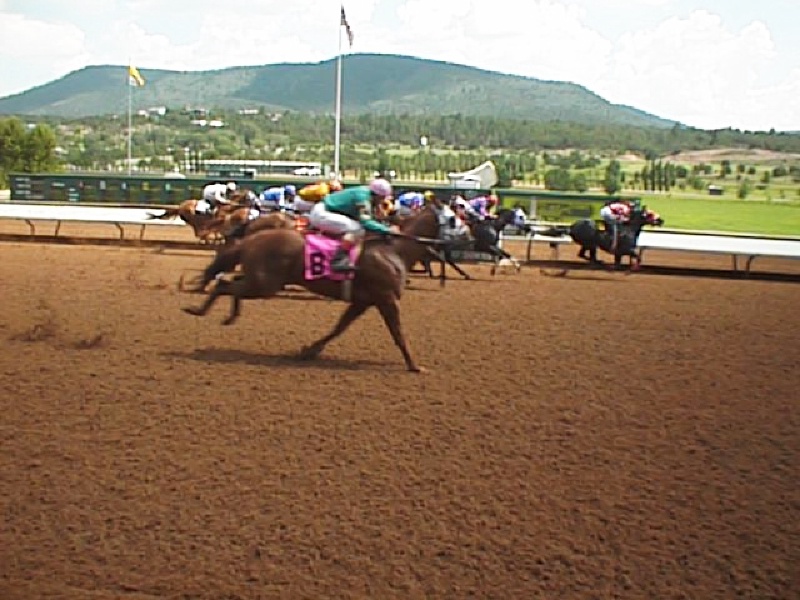 race-horse2.jpg