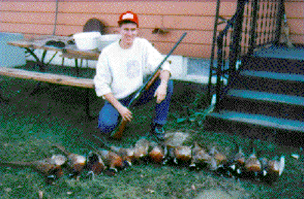 1997/oldpics/1024x768_pheasant.gif
