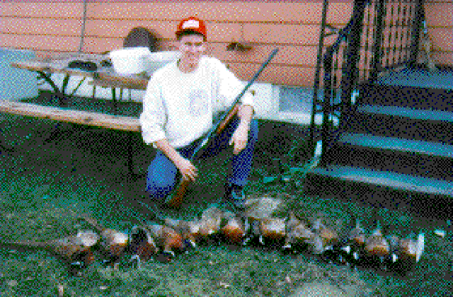 1997/oldpics/640x480_pheasant.gif