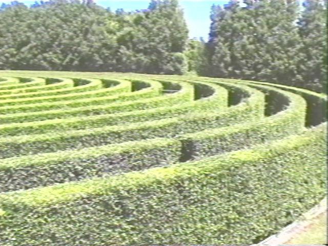 MAZE.JPG
