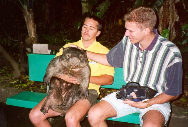 WOMBAT-T.JPG
