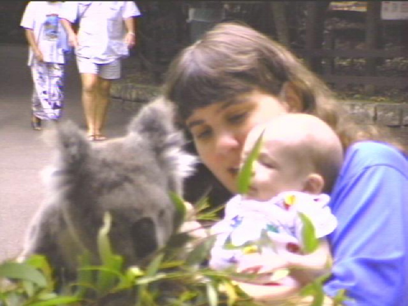 J-KOALA.JPG