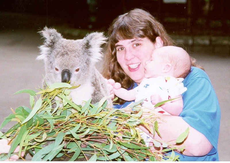 Koala-js.jpg