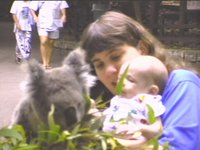 J-KOALA.JPG