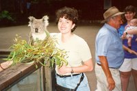 KOALAQ.JPG