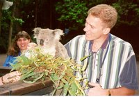 KOALAT.JPG