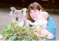 Koala-js.jpg