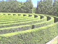 MAZE.JPG