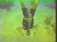 SCUBA6.JPG