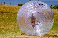 ZORB-T1.JPG