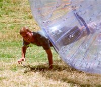 ZORB-T2.JPG