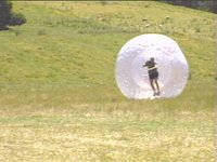 ZORBMT.JPG