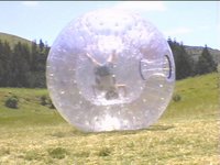 ZORBQ.JPG