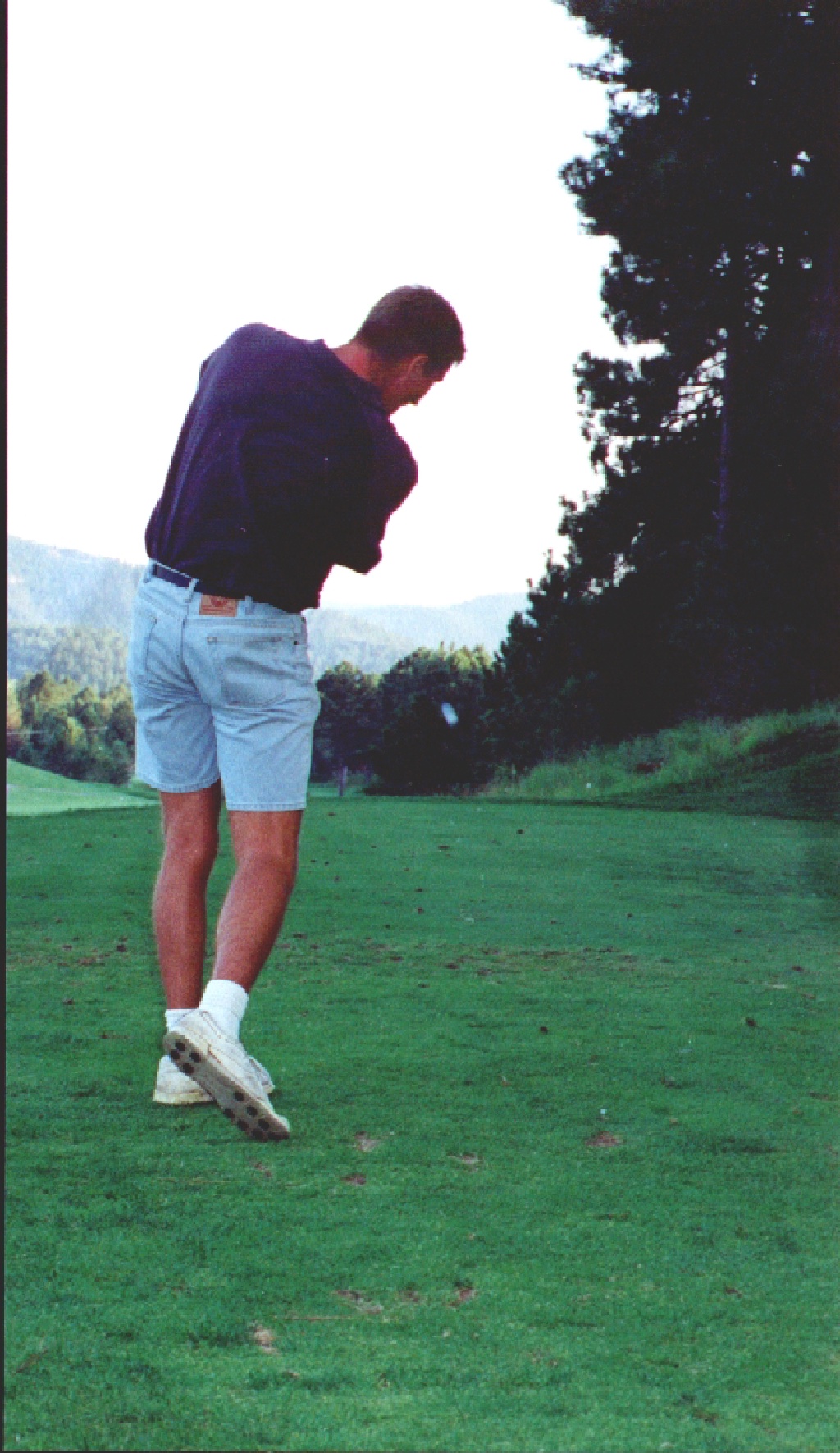 1998-rui-lynx-t3.jpg