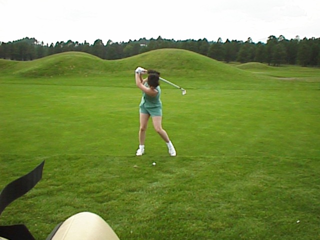 1998-rui-lynx-q1.jpg