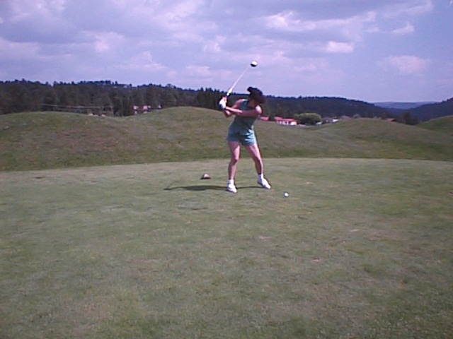 1998-rui-lynx-q2.jpg