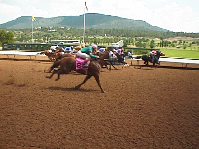1998-rui-race-horse2.jpg