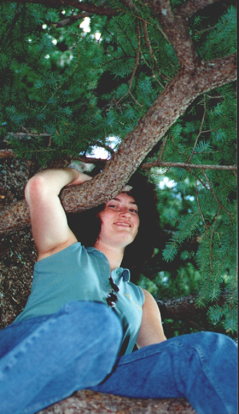 1998/08(August)/Ruidoso/800x600_1998-rui-tree-q.jpg