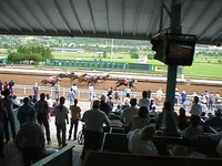 1998-rui-race-horse1.jpg
