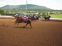 1998-rui-race-horse2.jpg