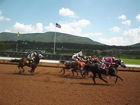1998-rui-race-horse3.jpg