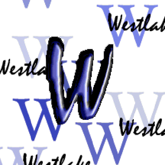1998/09(September)/WHS-10yr-Reunion/640x480_w-ani.gif